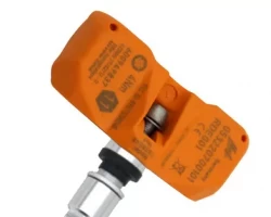 Valve Stems | Caps | TPMS